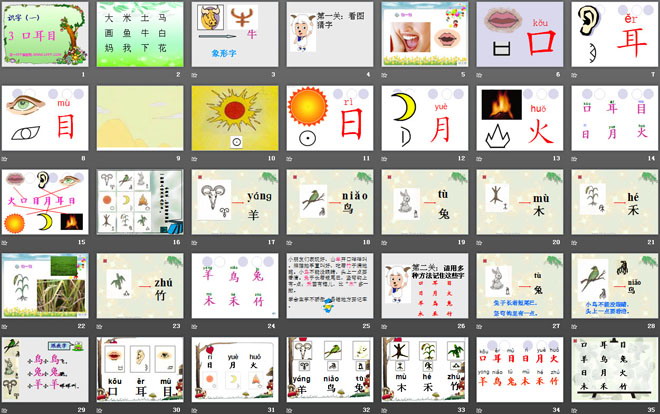 《口耳目》PPT课件8
