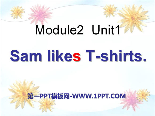 《Sam like T-shirts》PPT课件3