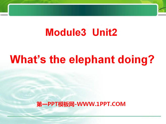 《What\s the elephant doing?》PPT课件2