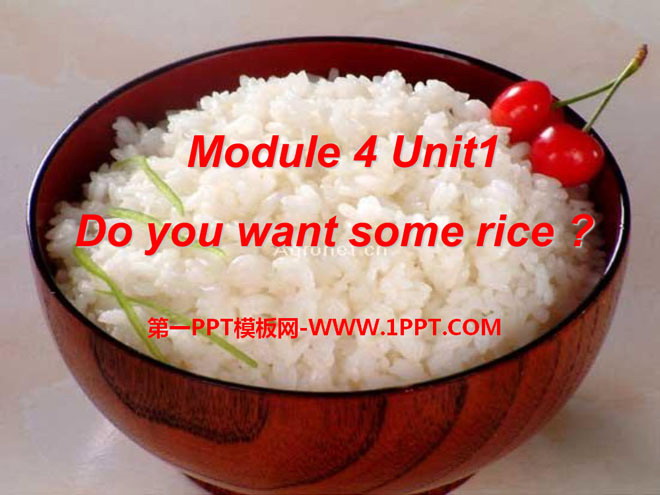 《Do you want some rice?》PPT课件4