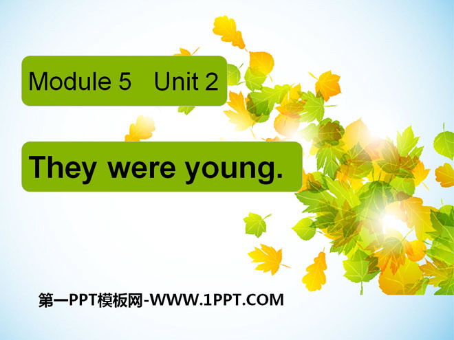《They were young》PPT课件