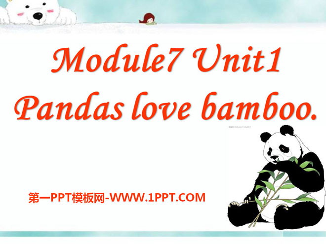 《Pandas love bamboo》PPT课件