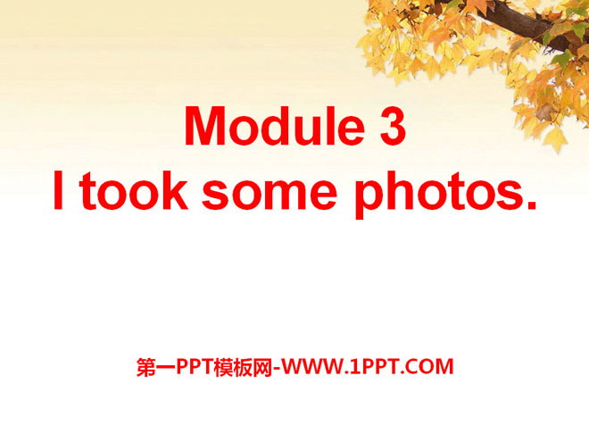 《I took some photos》PPT课件