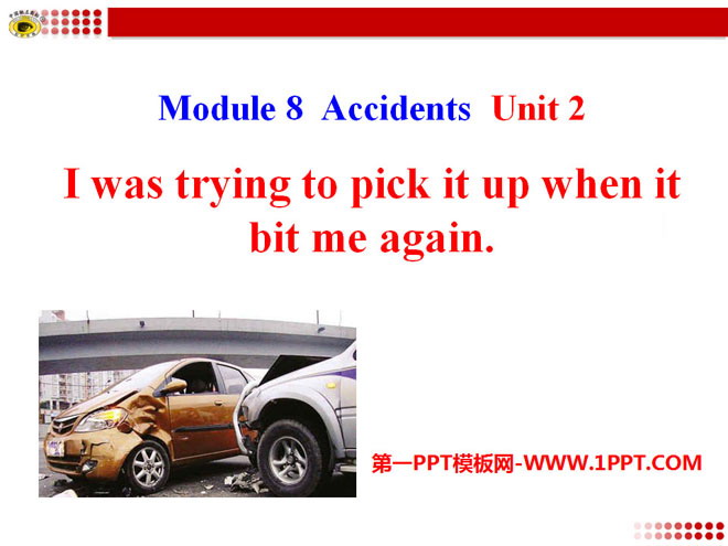 《I was trying to pick it up when it bite me again》Accidents PPT课件3