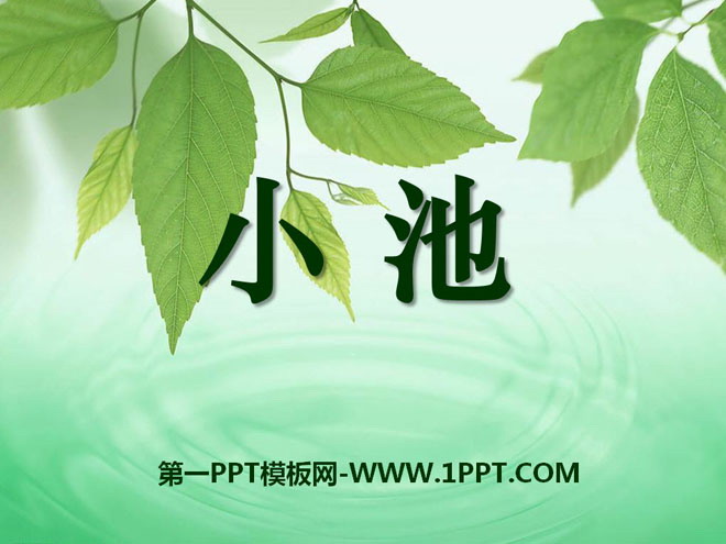《小池》PPT课件5