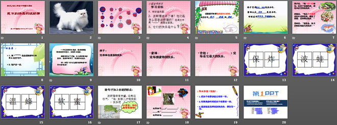 《找不到快乐的波斯猫》PPT课件