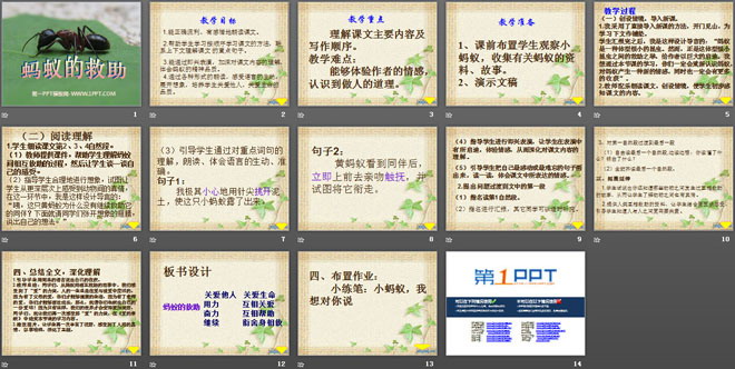 《蚂蚁的救助》PPT课件2
