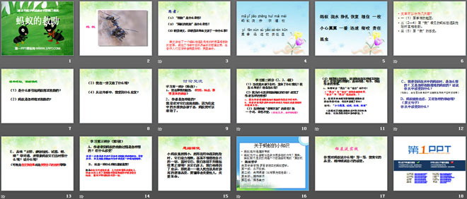 《蚂蚁的救助》PPT课件3
