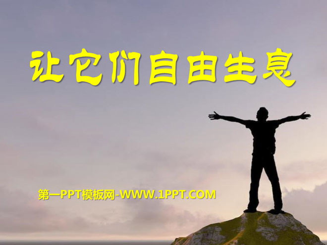 《让它们自由生息》PPT课件2