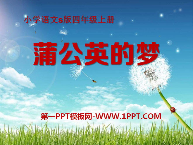《蒲公英的梦》PPT课件2