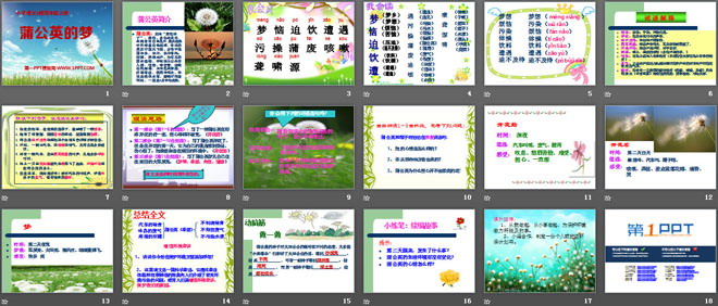 《蒲公英的梦》PPT课件2