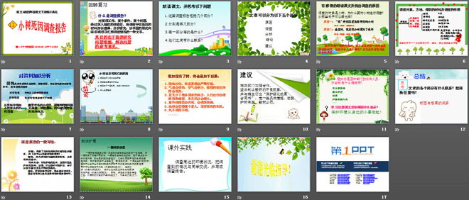 《小树死因调查报告》PPT课件