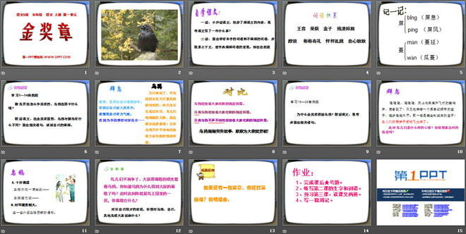 《金奖章》PPT课件2