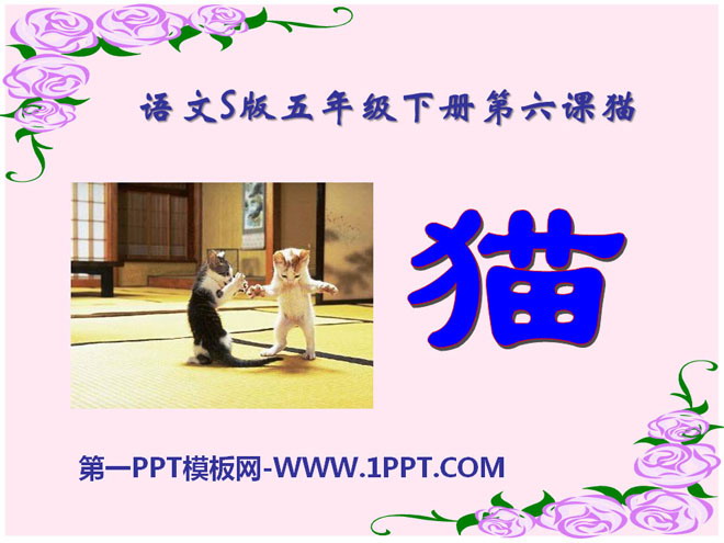 《猫》PPT课件7