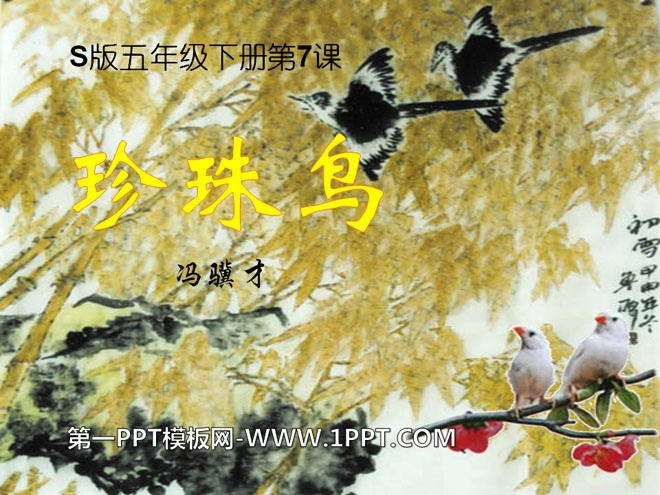 《珍珠鸟》PPT课件18