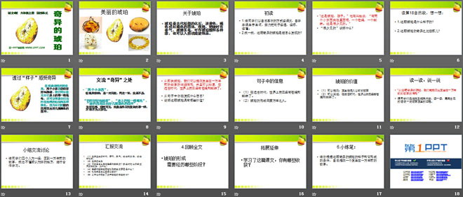 《奇异的琥珀》PPT课件