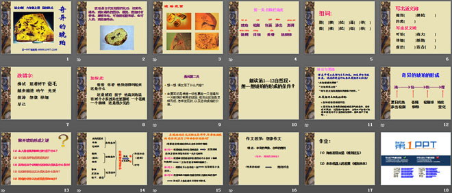 《奇异的琥珀》PPT课件2