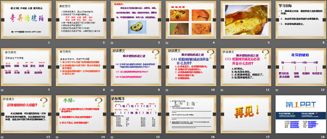《奇异的琥珀》PPT课件4