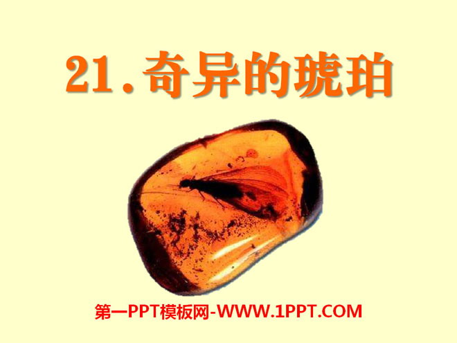 《奇异的琥珀》PPT课件5