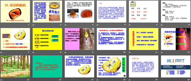 《奇异的琥珀》PPT课件5