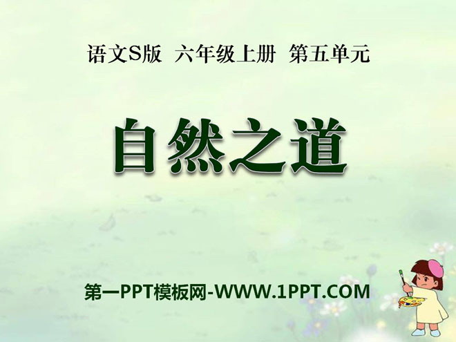 《自然之道》PPT课件9