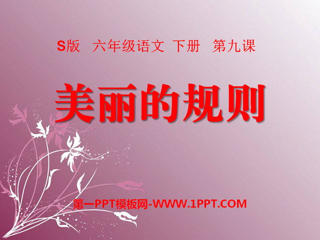 《美丽的规则》PPT课件3