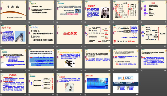 《海燕》PPT课件14