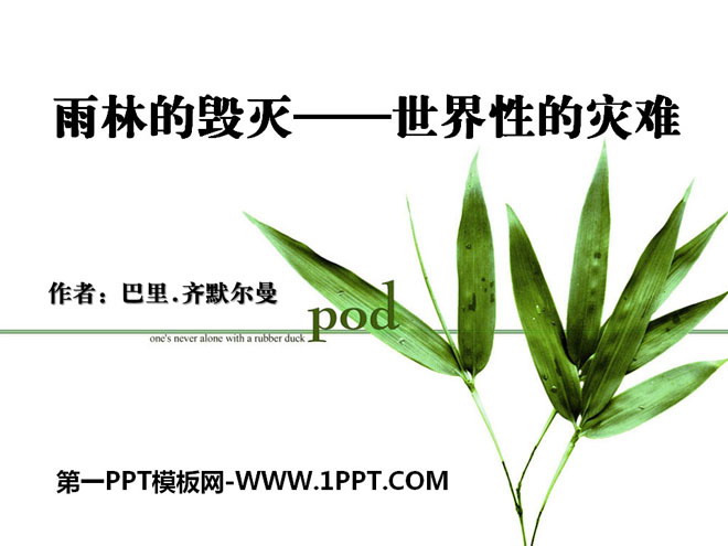 《雨林的毁灭——世界性灾难》PPT课件3