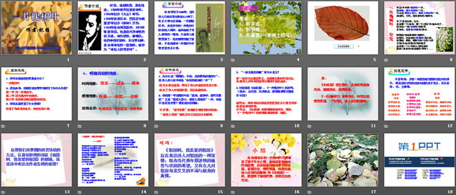 《一片槐树叶》PPT课件2