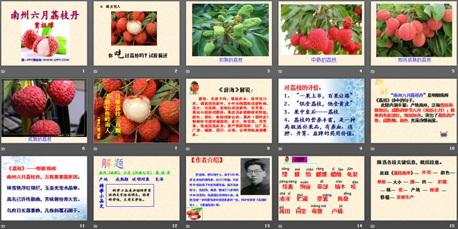 《南州六月荔枝丹》PPT课件