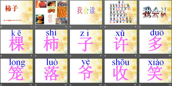 《柿子》PPT课件2