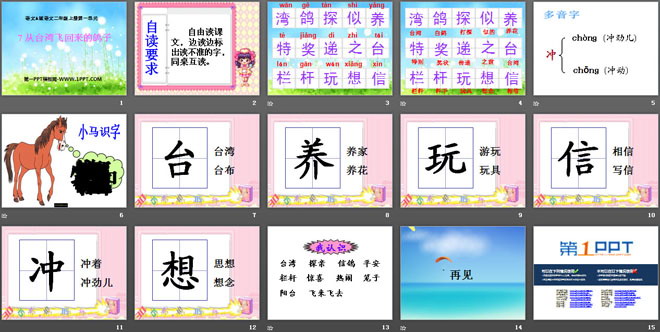 《从台湾飞回来的鸽子》PPT课件3