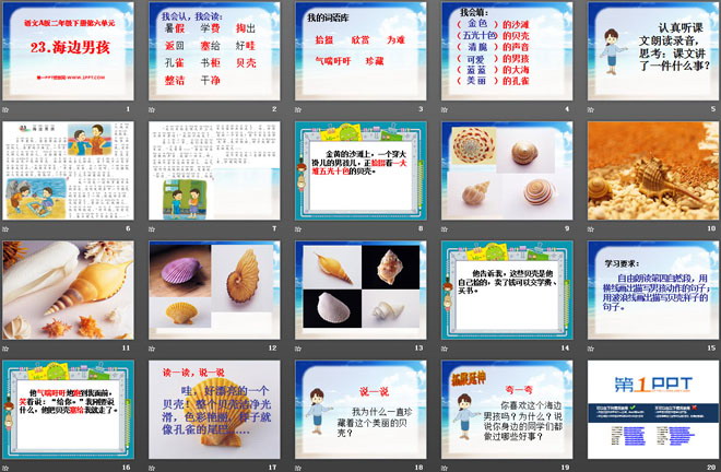《海边的男孩》PPT课件2
