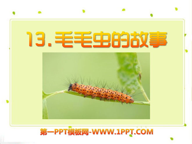 《毛毛虫的故事》PPT课件2