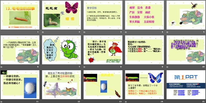《毛毛虫的故事》PPT课件2