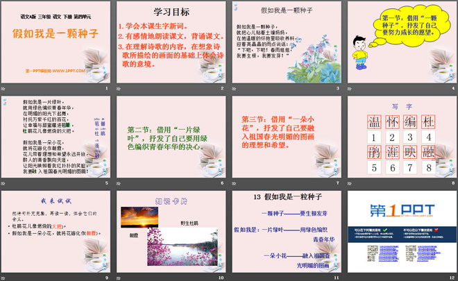《假如我是一颗种子》PPT课件