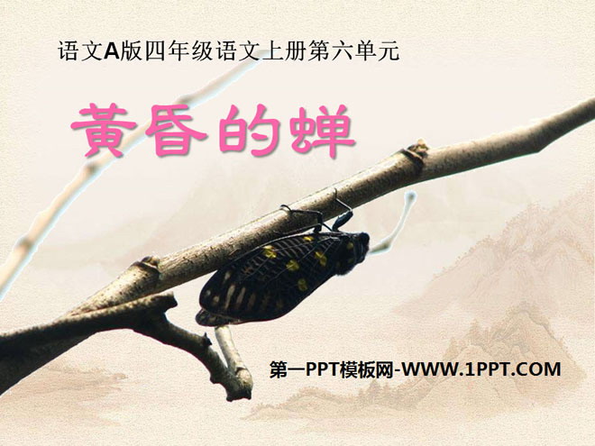 《黄昏的蝉》PPT课件2