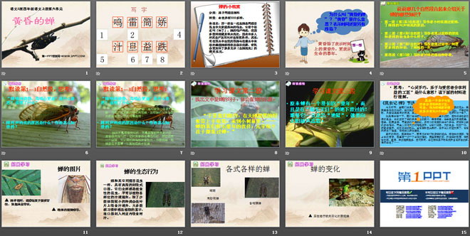 《黄昏的蝉》PPT课件2