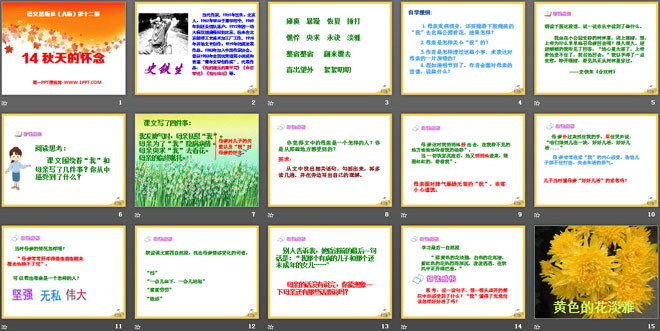 《秋天的怀念》PPT课件11