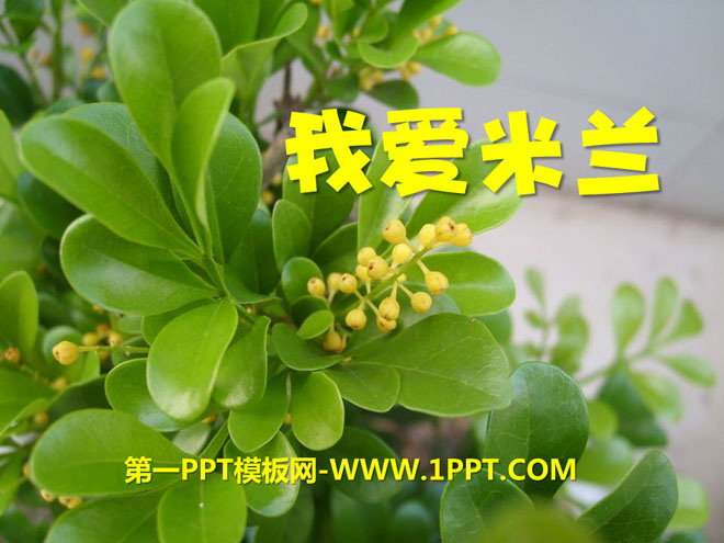 《我爱米兰》PPT课件
