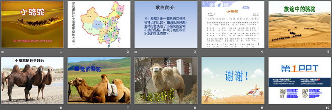 《小骆驼》PPT课件