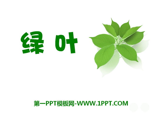 《绿叶》PPT课件