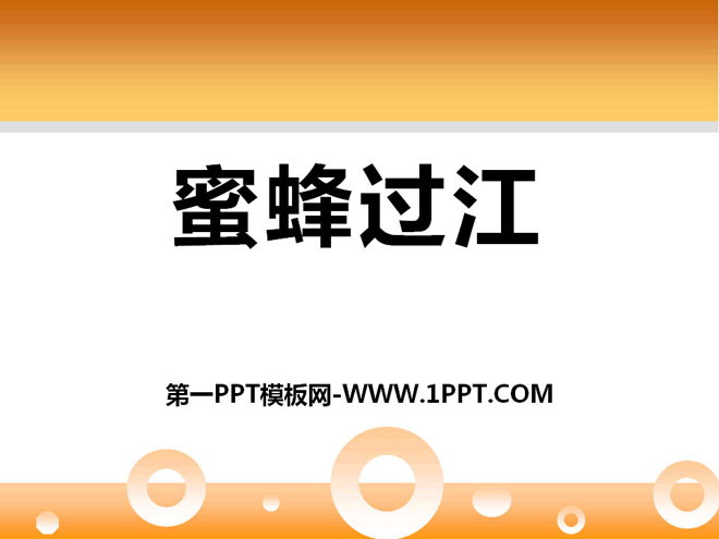《蜜蜂过江》PPT课件2