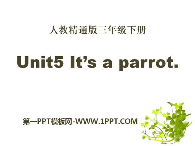 《It\s a parrot》PPT课件