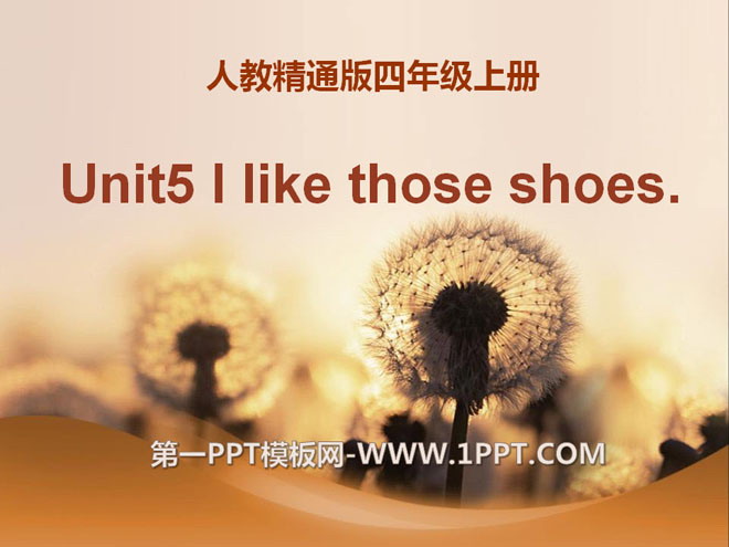 《I like those shoes》PPT课件5