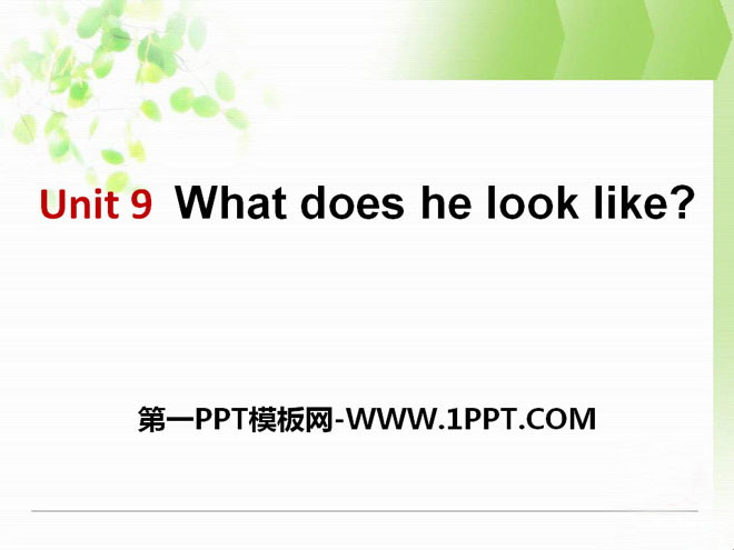 《What does he look like?》PPT课件9