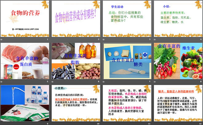 《食物的营养》生活中的食物PPT课件3