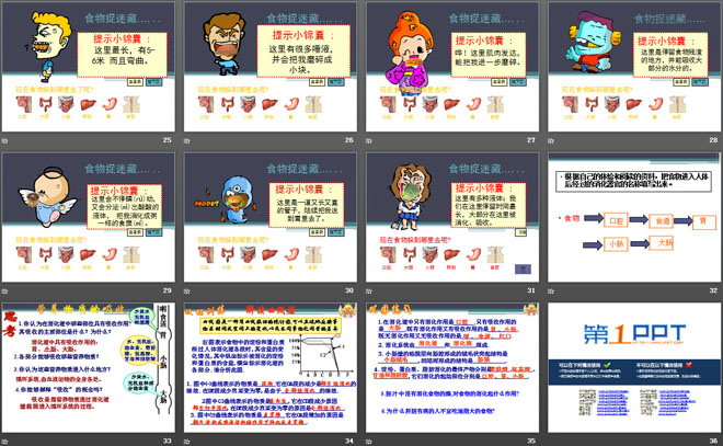 《食物的消化》生活中的食物PPT课件2