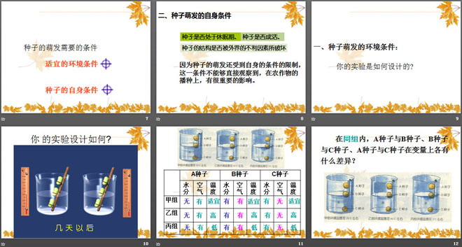 《播种发芽》PPT课件