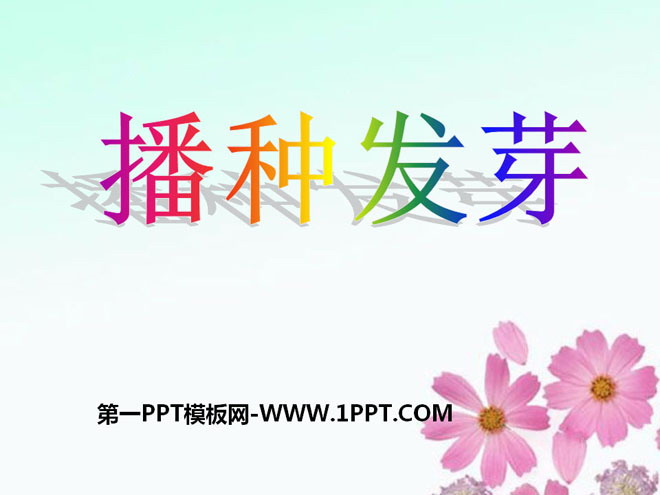 《播种发芽》PPT课件2